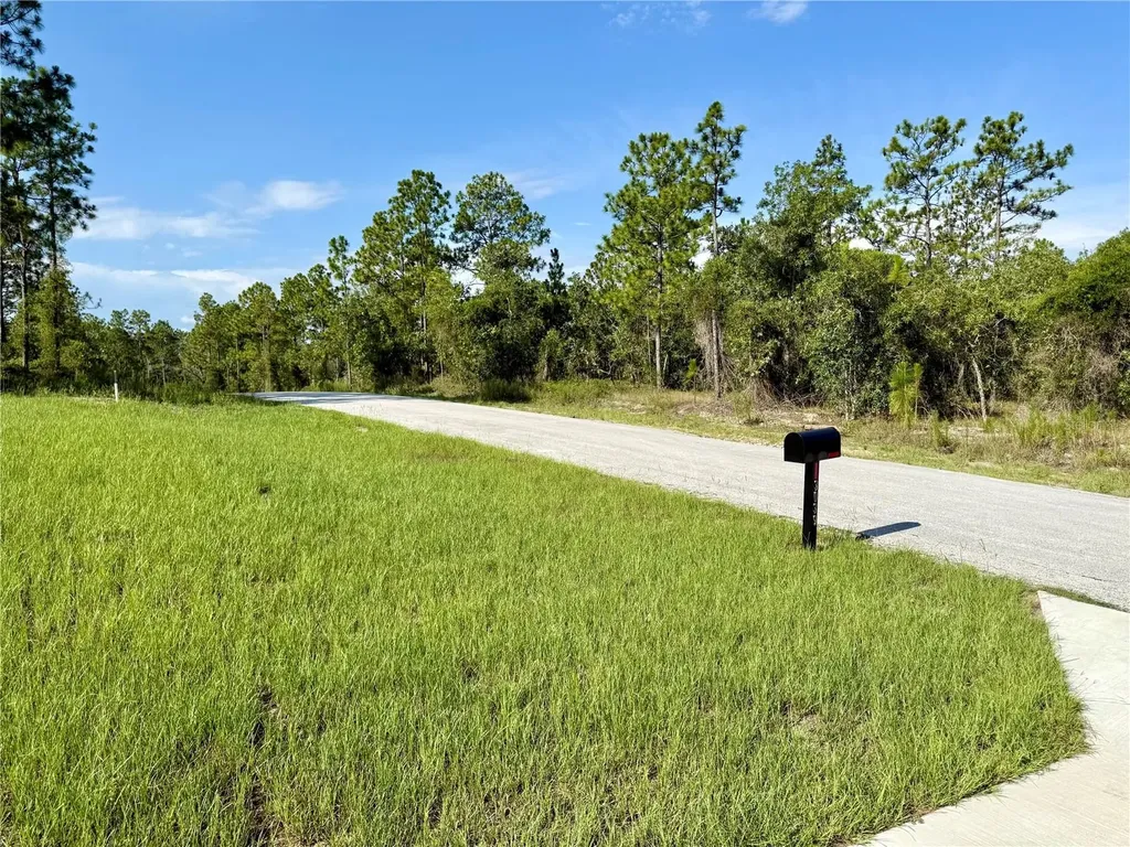 3039 SW Viburnum Road Dunnellon FL 34431