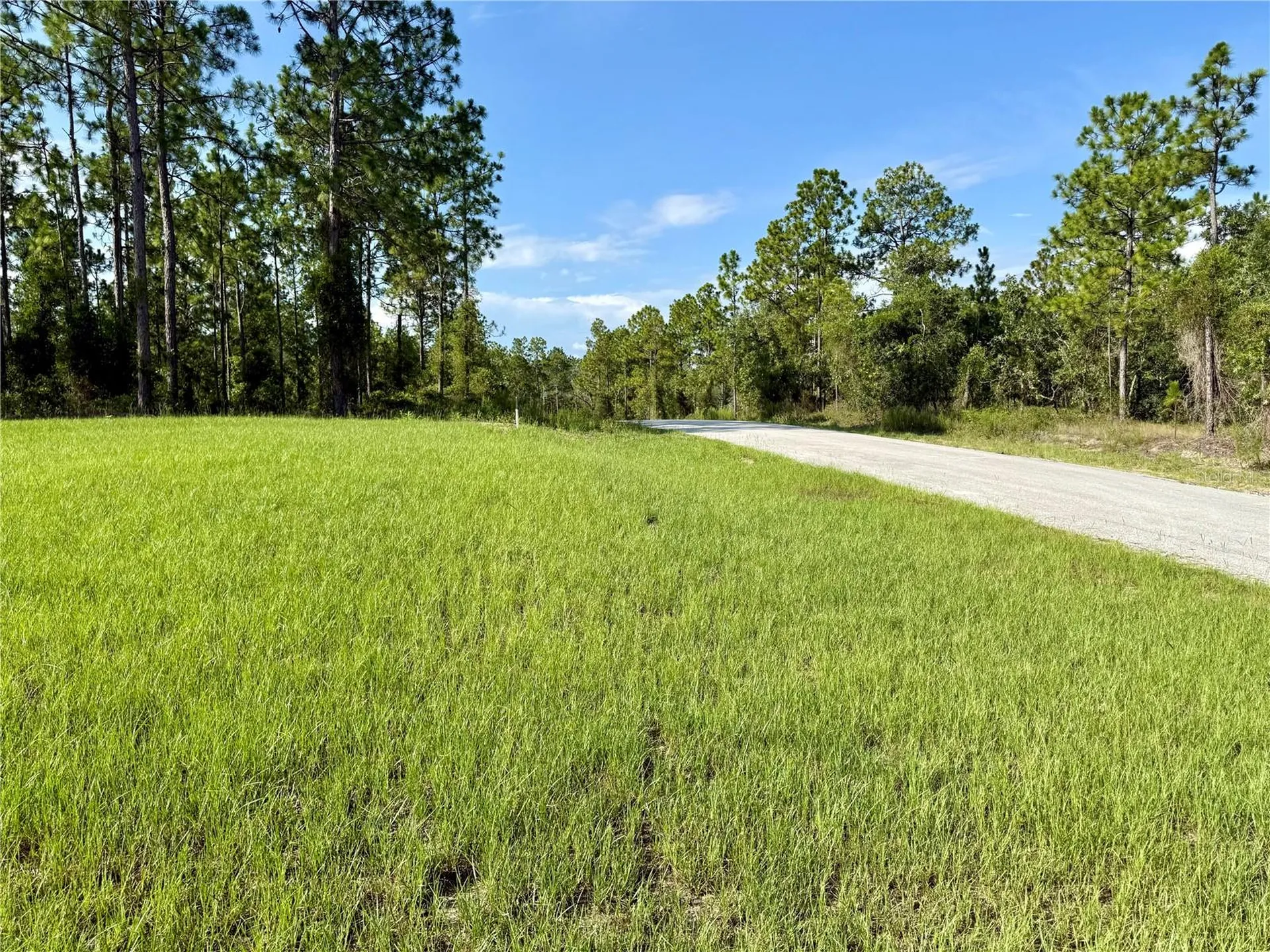 3039 SW Viburnum Road Dunnellon FL 34431