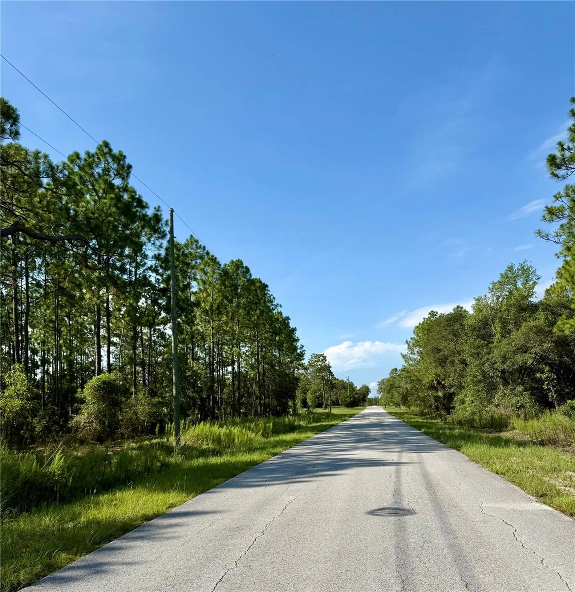 3039 SW Viburnum Road Dunnellon FL 34431