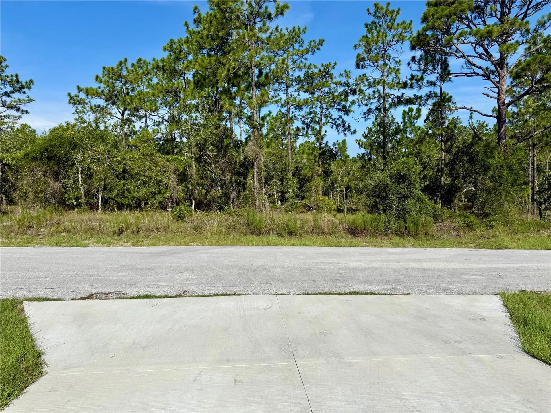 3039 SW Viburnum Road Dunnellon FL 34431