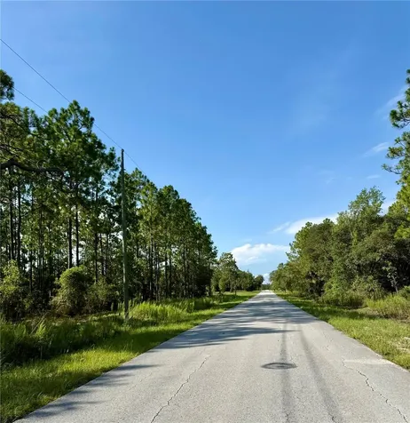 3039 SW Viburnum Road Dunnellon FL 34431