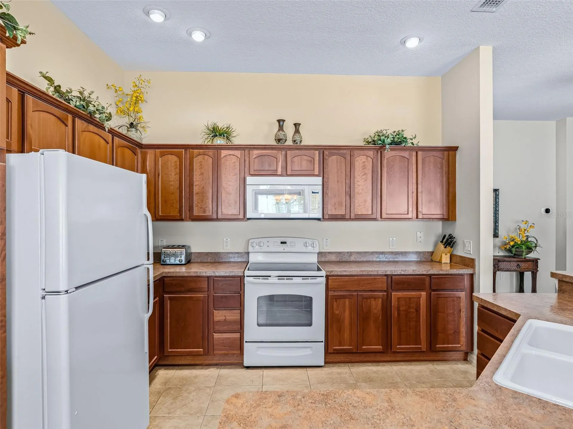 1134 Southern Sun Drive The Villages FL 32162