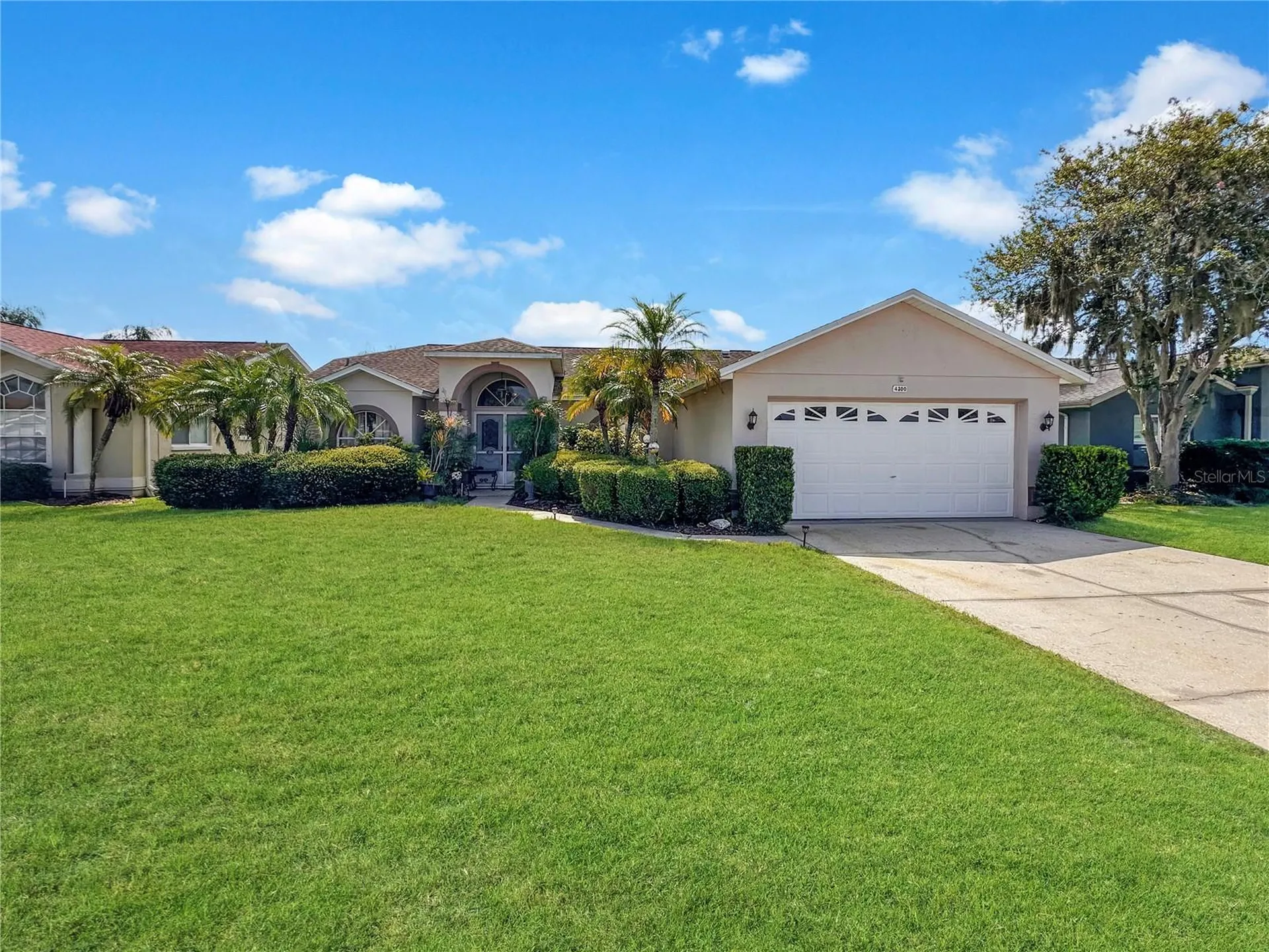 4300 Onorio Street New Port Richey FL 34653