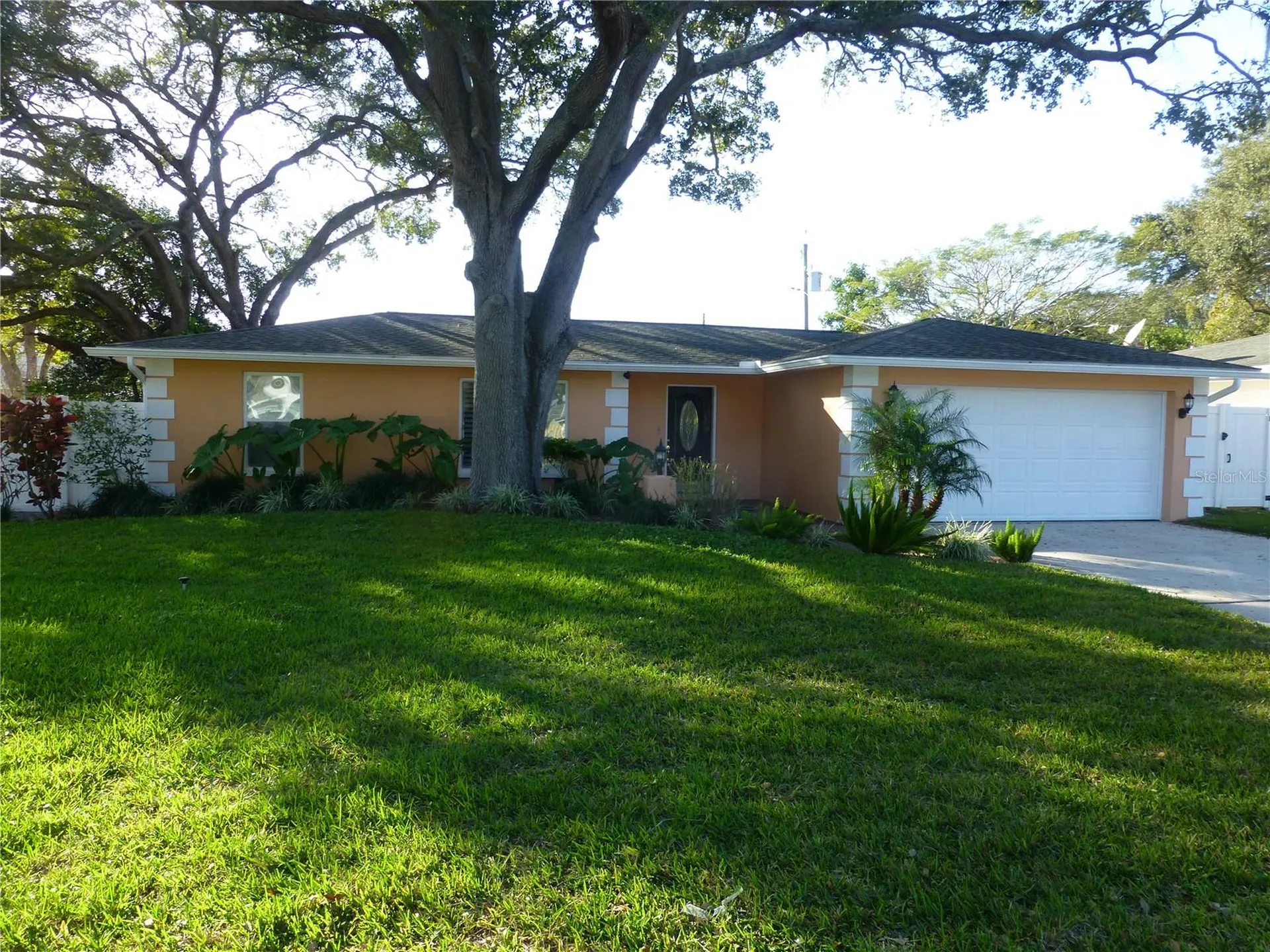 752 Patricia Avenue Dunedin FL 34698