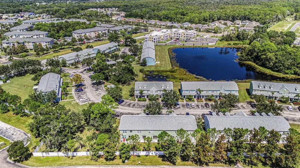 11676 Declaration Drive Tampa FL 33635