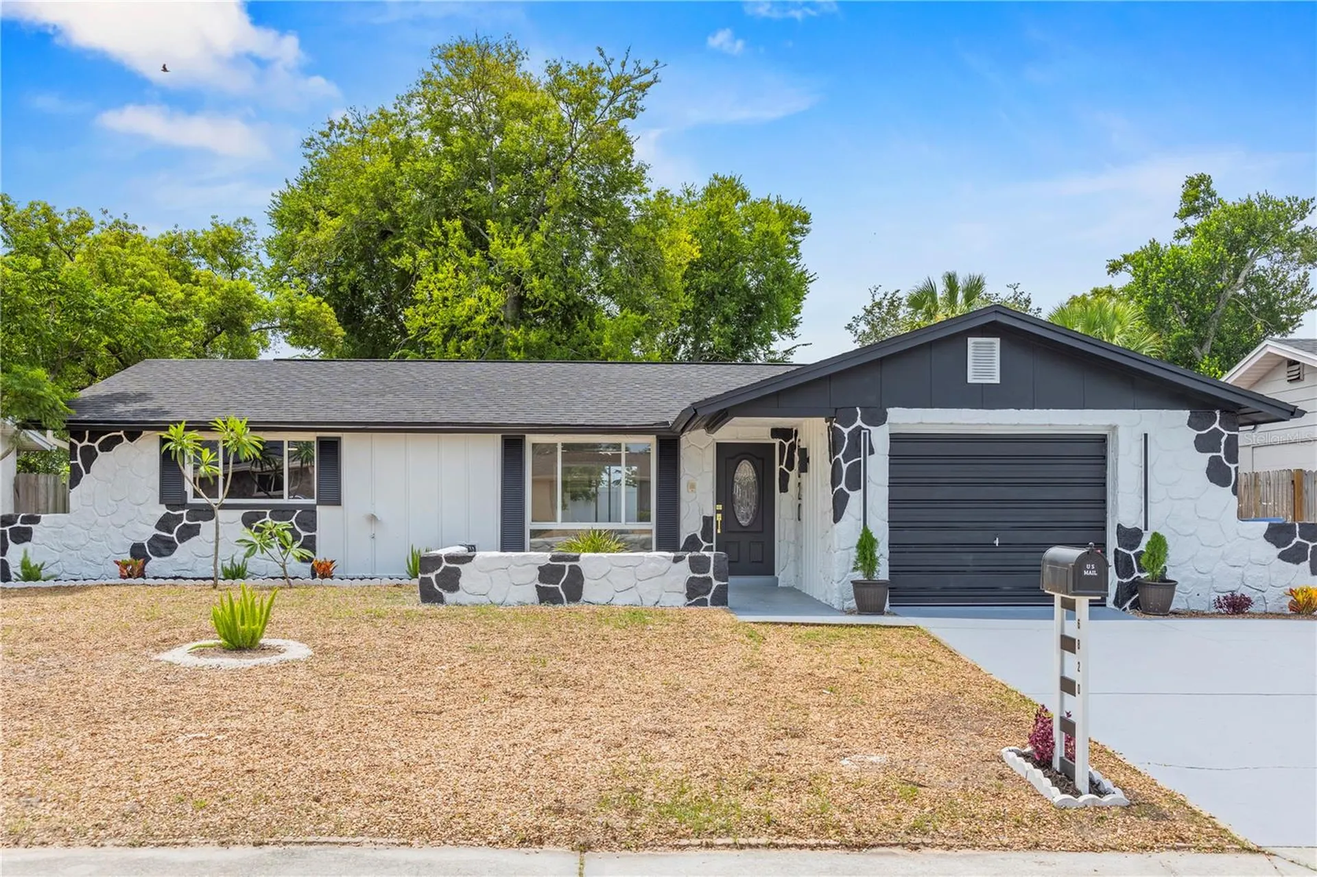 6820 El Camino Paloma Street Port Richey FL 34668