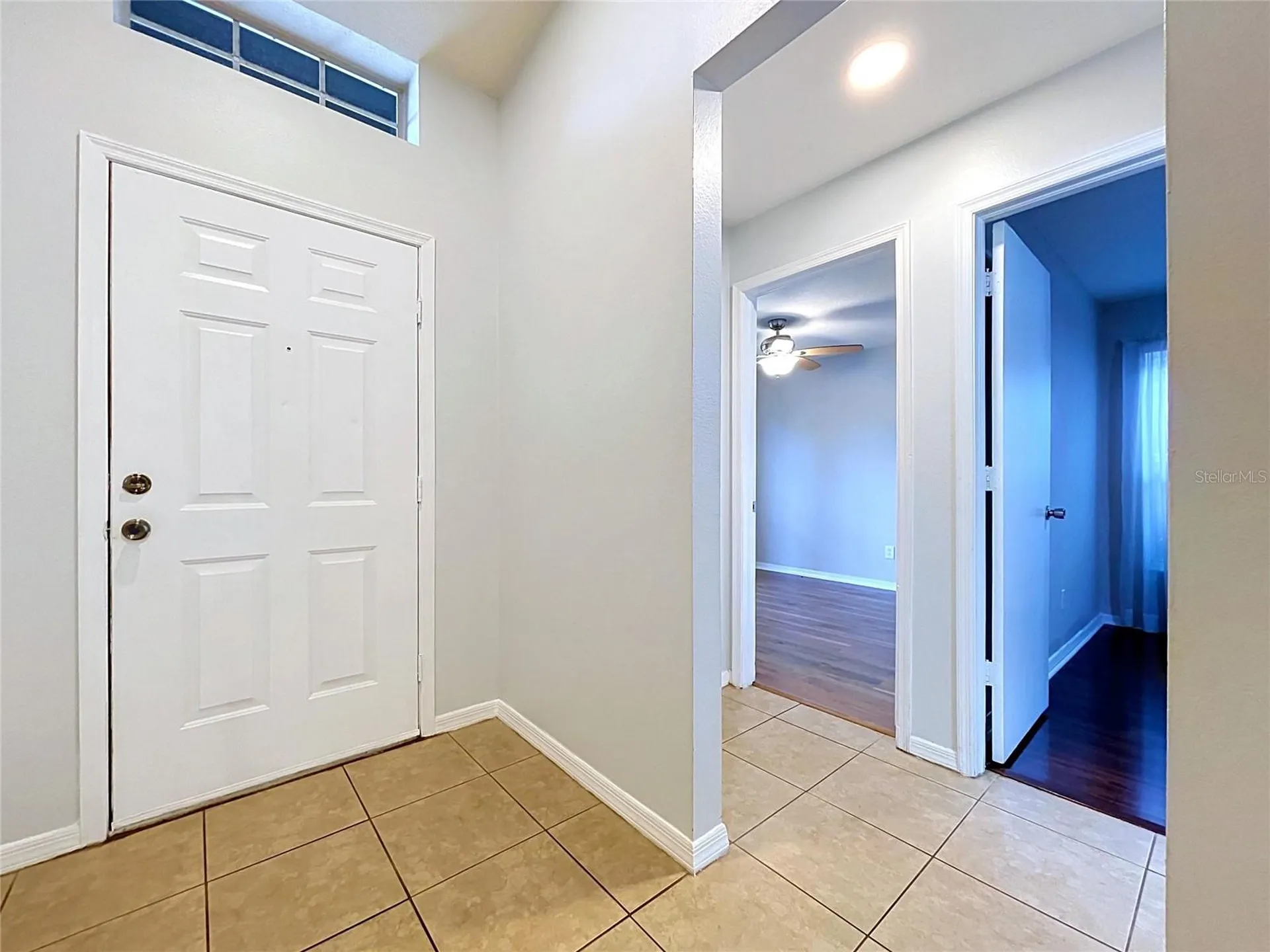 11109 Bramblebrush Street Tampa FL 33624