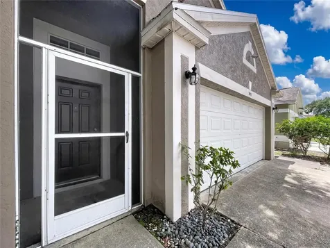 11109 Bramblebrush Street Tampa FL 33624