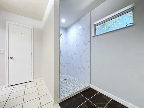 11109 Bramblebrush Street Tampa FL 33624