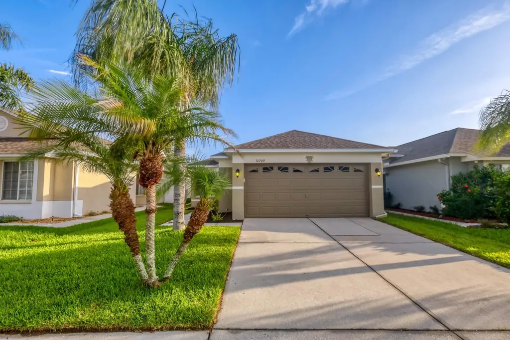 31209 Masena Drive Wesley Chapel FL 33545