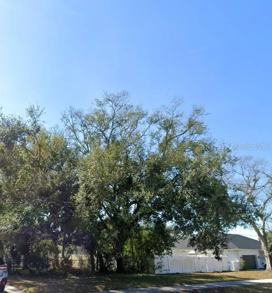 000 16th Avenue N St Petersburg FL 33710