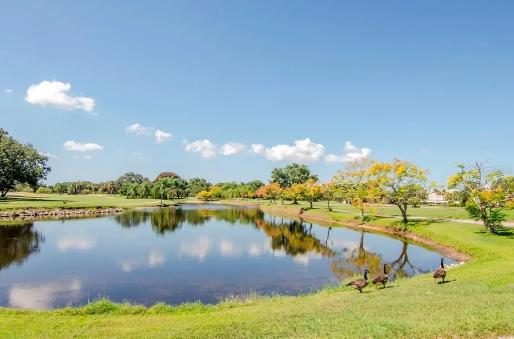 3300 Cove Cay Drive Clearwater FL 33760