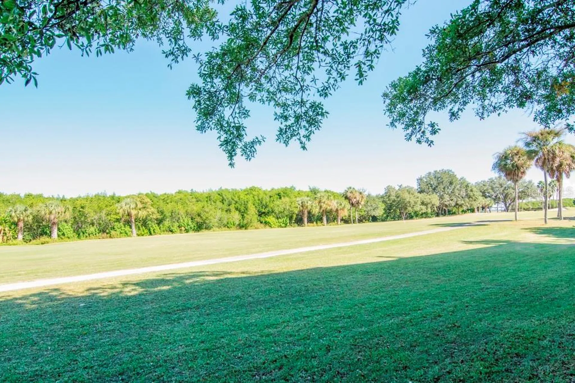 3300 Cove Cay Drive Clearwater FL 33760