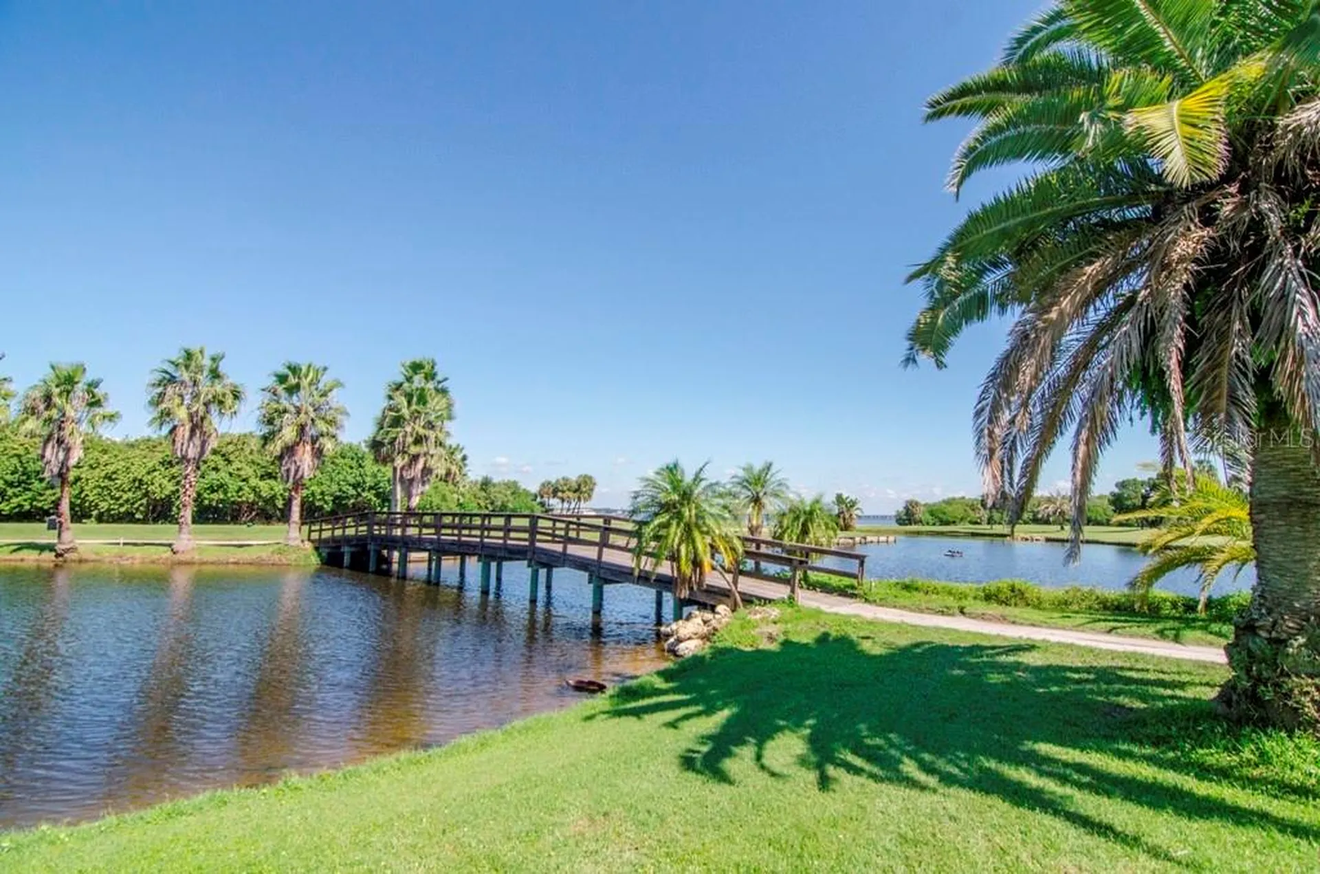 3300 Cove Cay Drive Clearwater FL 33760