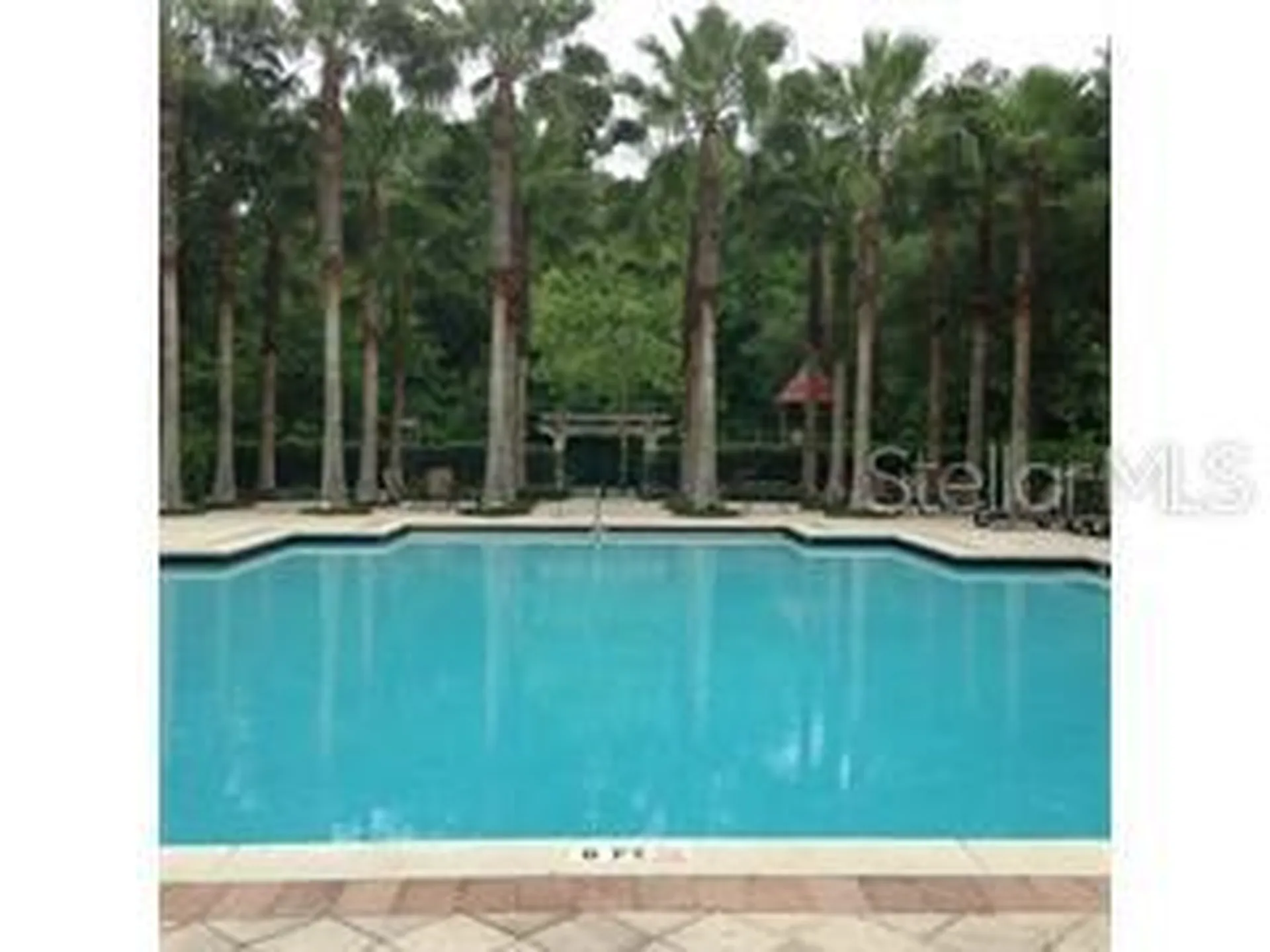 705 Centervale Drive Celebration FL 34747