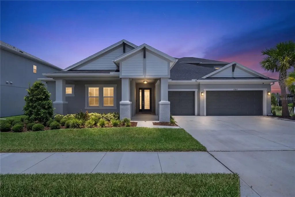 33875 Castaway Loop Wesley Chapel FL 33543