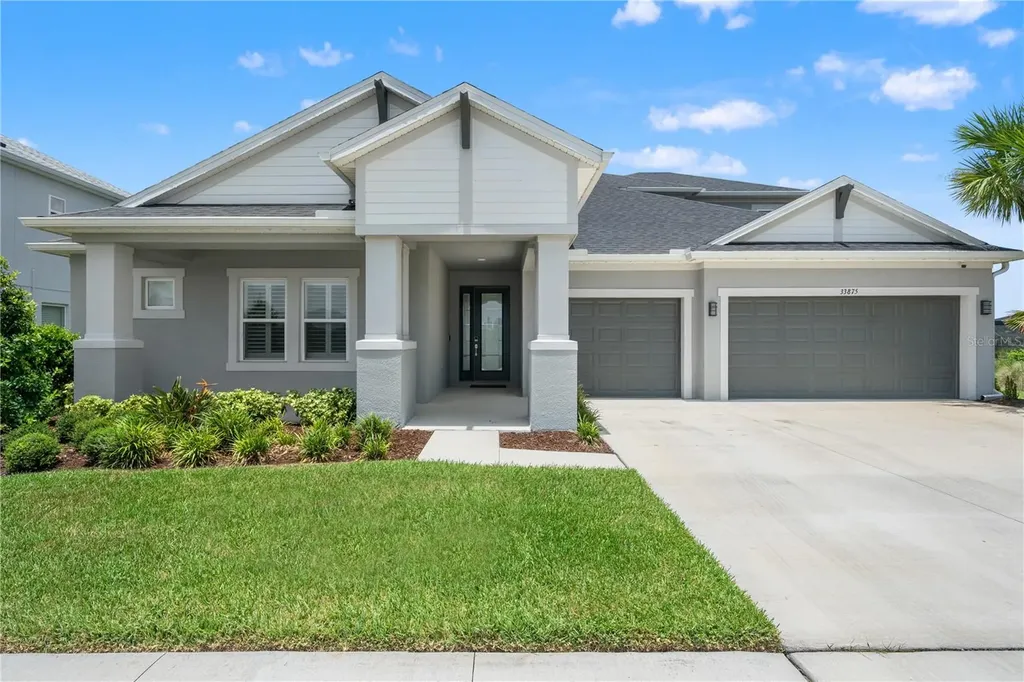 33875 Castaway Loop Wesley Chapel FL 33543