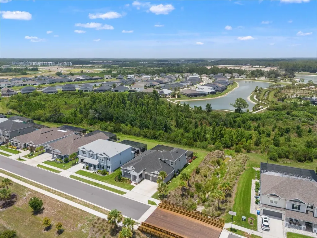 33875 Castaway Loop Wesley Chapel FL 33543