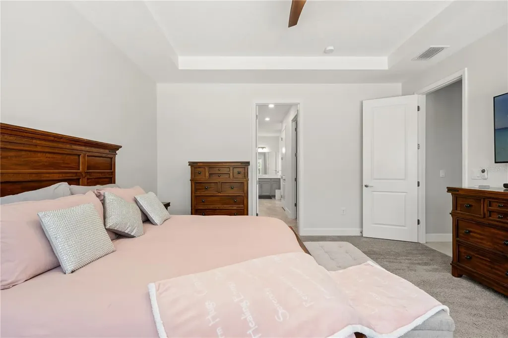 33875 Castaway Loop Wesley Chapel FL 33543