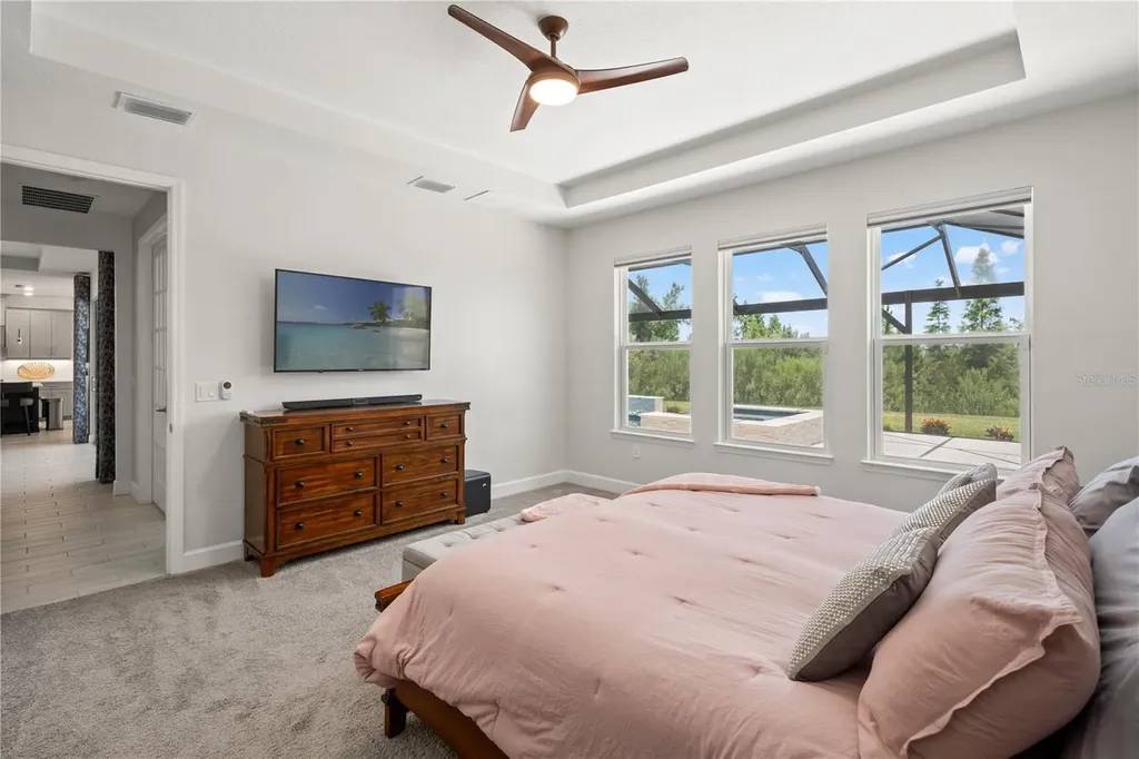 33875 Castaway Loop Wesley Chapel FL 33543