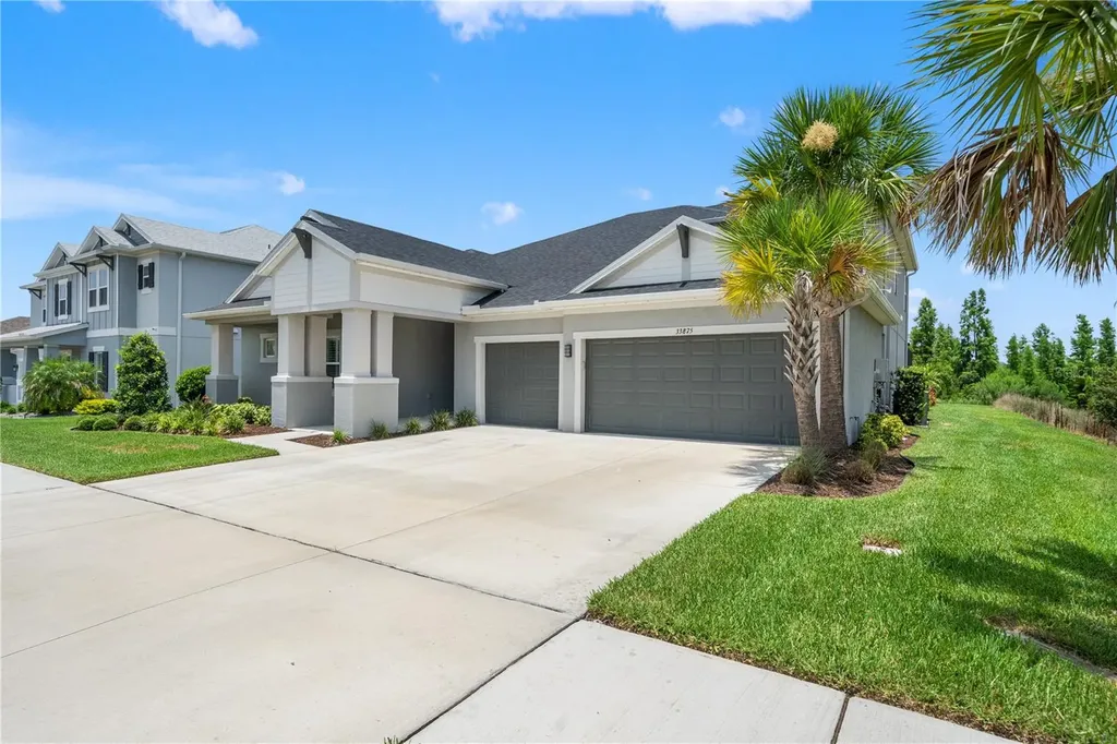 33875 Castaway Loop Wesley Chapel FL 33543