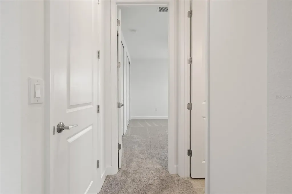 33875 Castaway Loop Wesley Chapel FL 33543