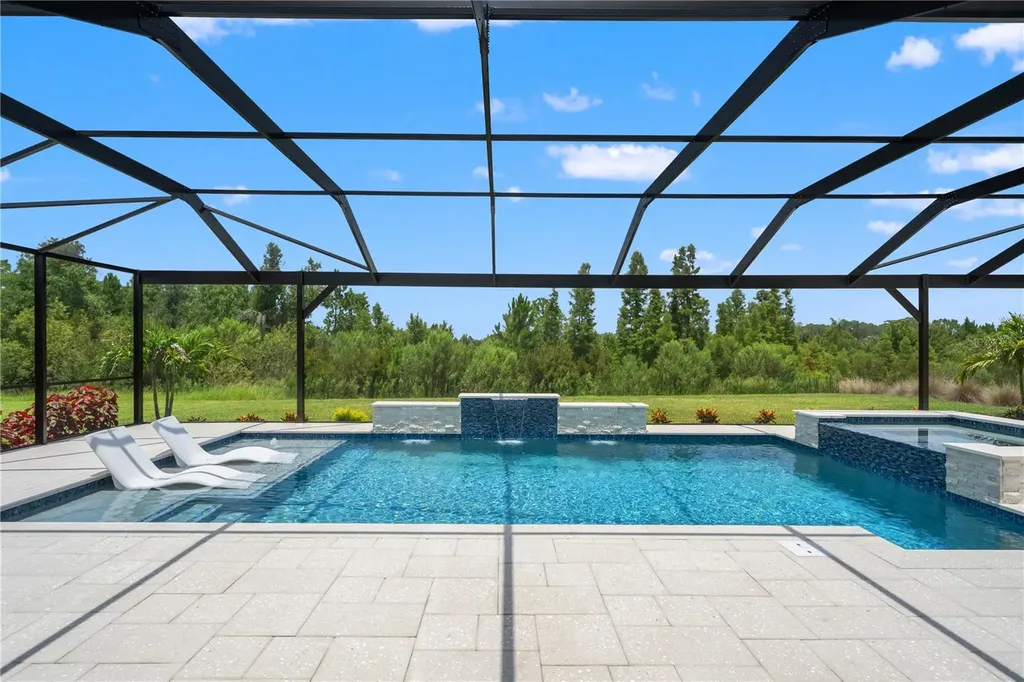 33875 Castaway Loop Wesley Chapel FL 33543