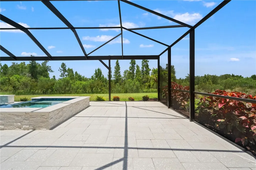 33875 Castaway Loop Wesley Chapel FL 33543