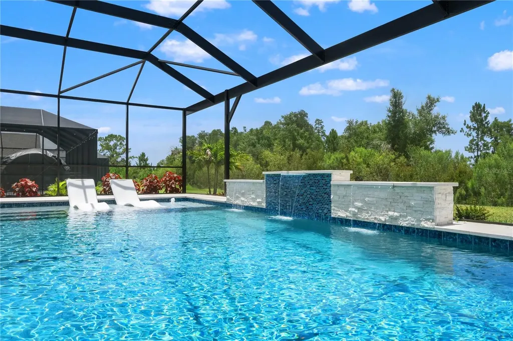 33875 Castaway Loop Wesley Chapel FL 33543