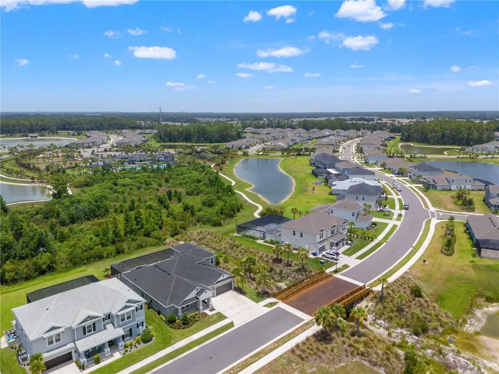 33875 Castaway Loop Wesley Chapel FL 33543