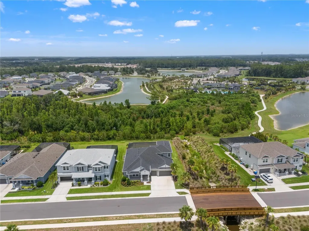 33875 Castaway Loop Wesley Chapel FL 33543
