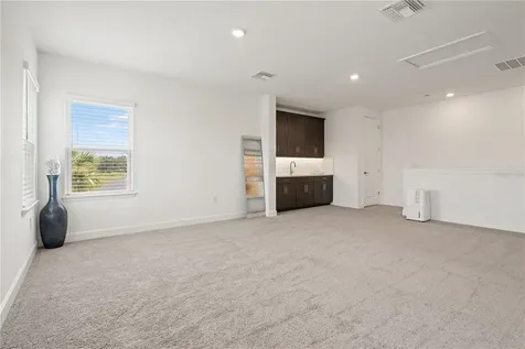 33875 Castaway Loop Wesley Chapel FL 33543