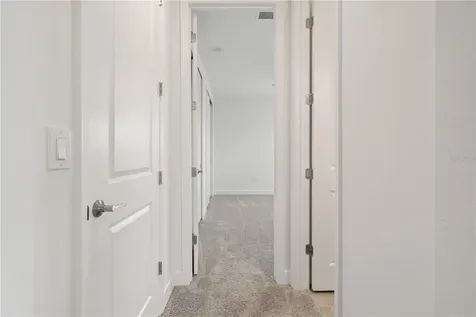 33875 Castaway Loop Wesley Chapel FL 33543