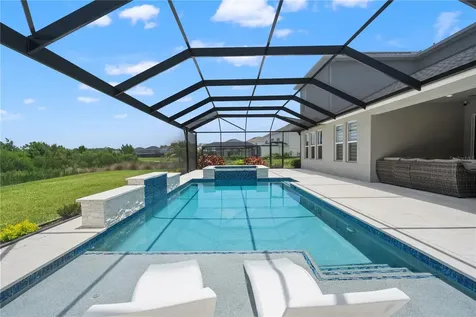 33875 Castaway Loop Wesley Chapel FL 33543