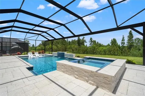 33875 Castaway Loop Wesley Chapel FL 33543