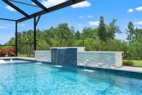 33875 Castaway Loop Wesley Chapel FL 33543