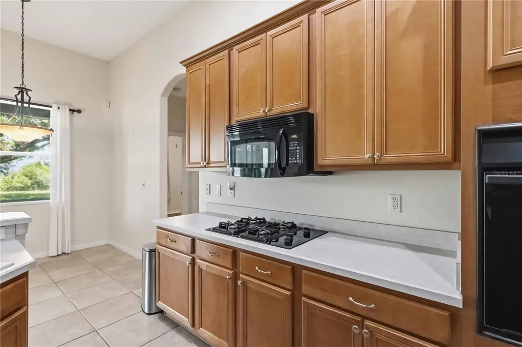12526 Burgess Hill Drive Riverview FL 33579
