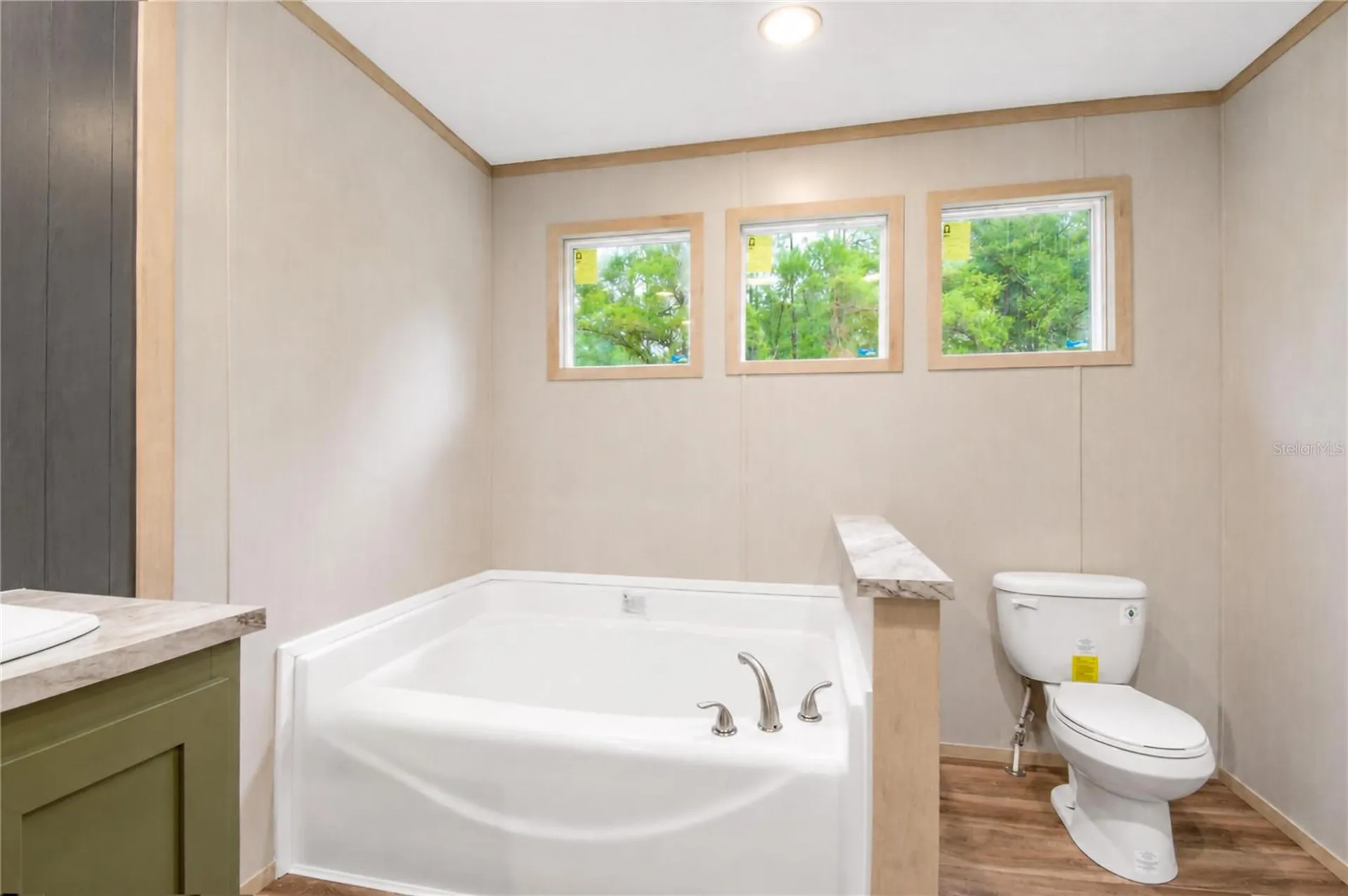 5235 SW 161st Ct Road Ocala FL 34481