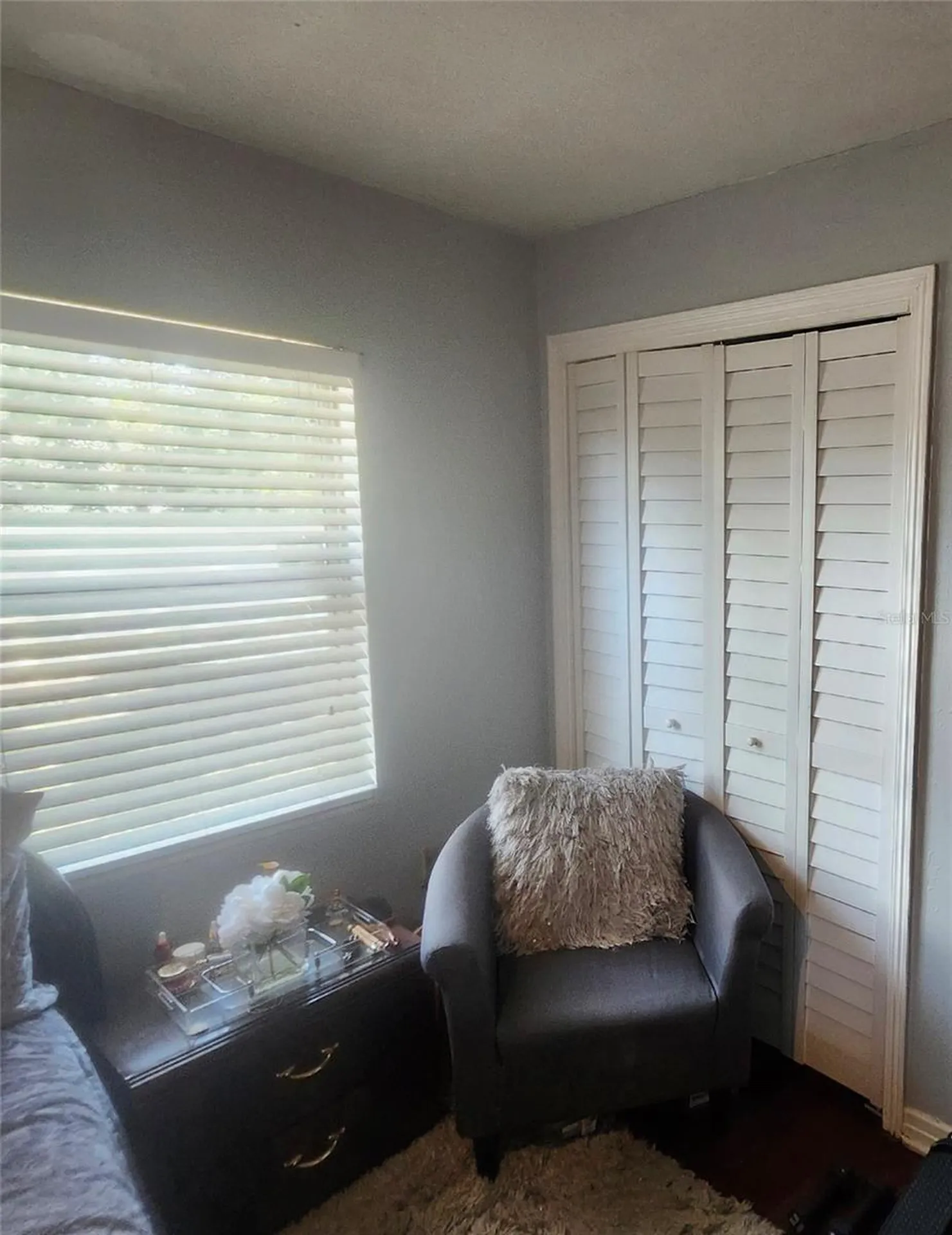 10538 Dove Lane Jacksonville FL 32218