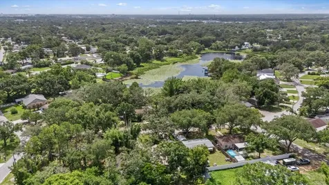 12510 Noreast Lake Drive Tampa FL 33612