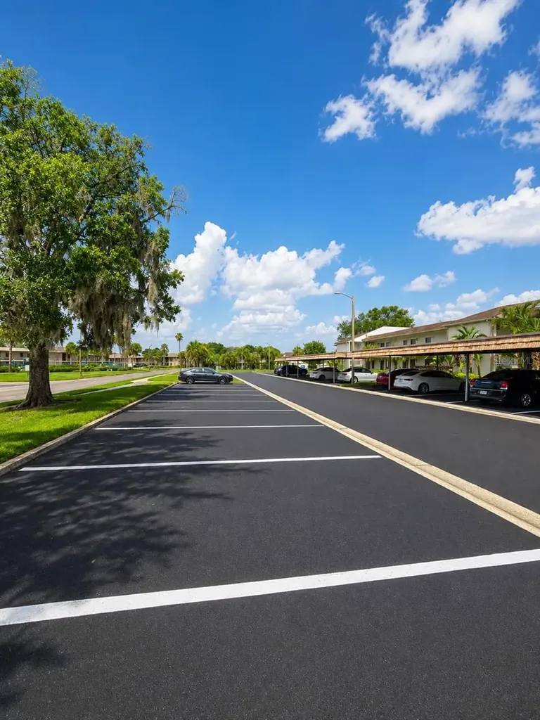115 Lakeview Place Oldsmar FL 34677