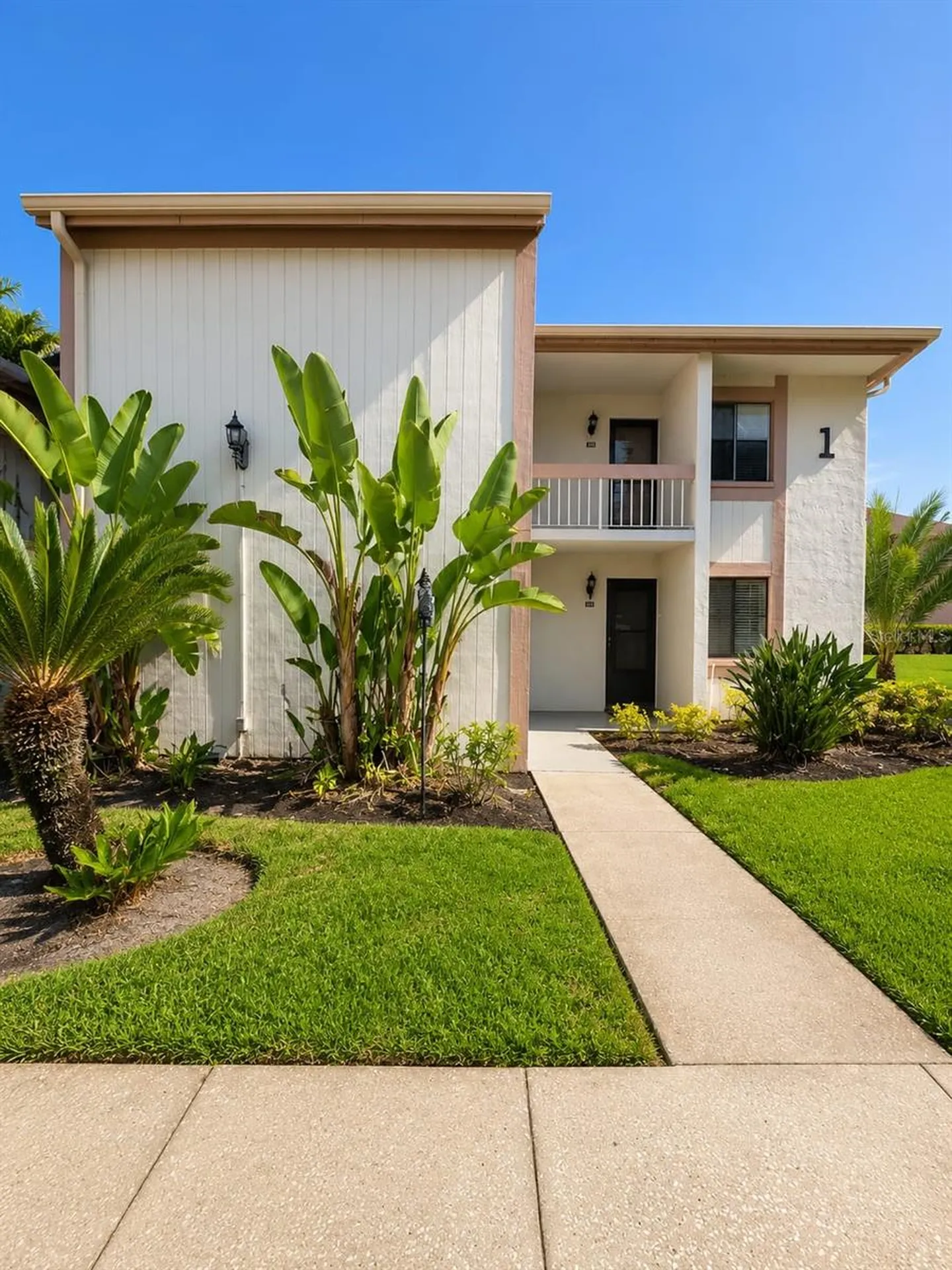 115 Lakeview Place Oldsmar FL 34677