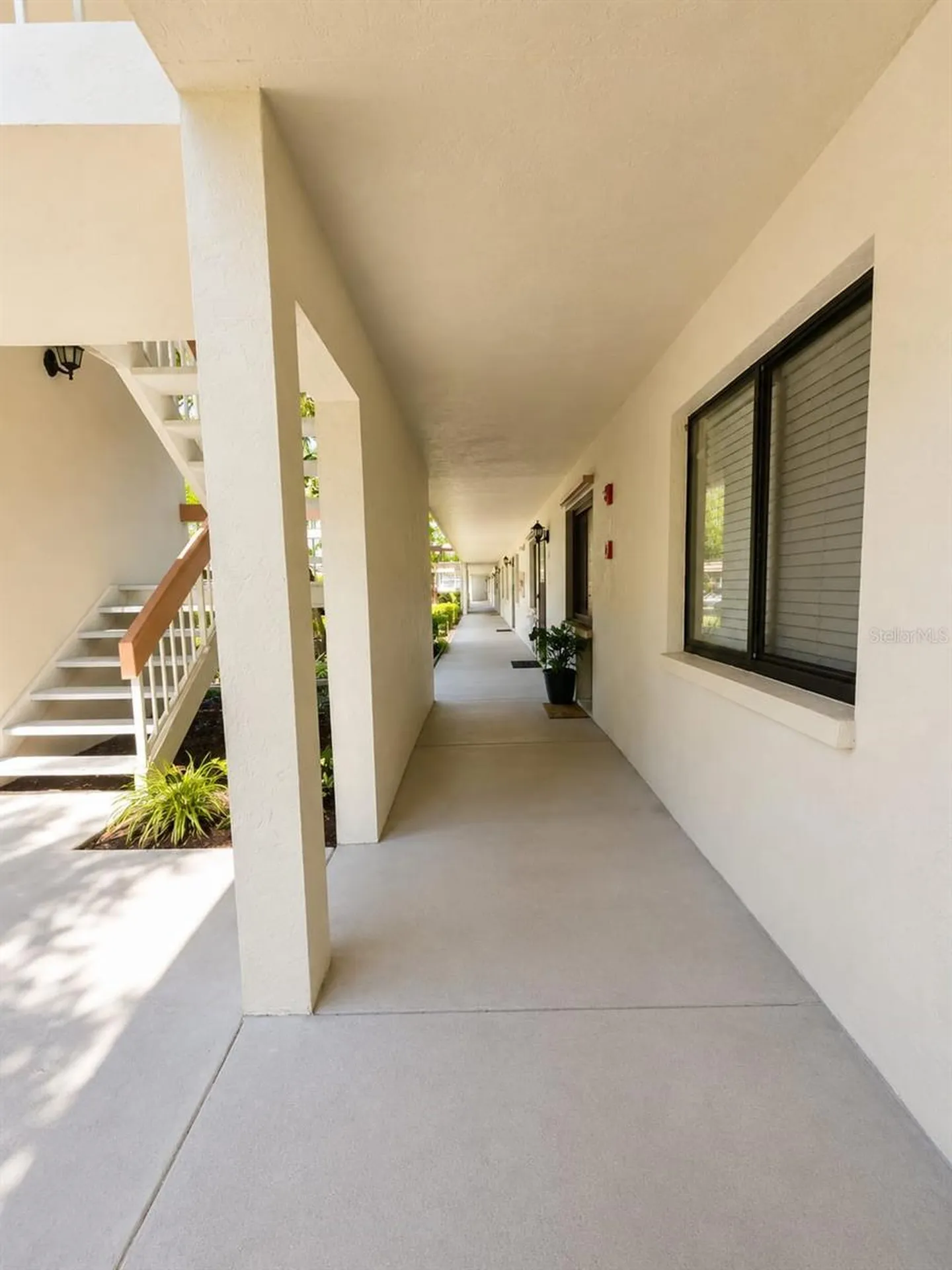 115 Lakeview Place Oldsmar FL 34677