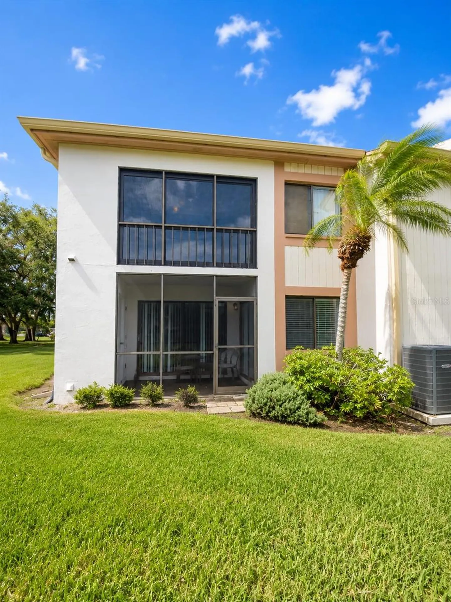 115 Lakeview Place Oldsmar FL 34677
