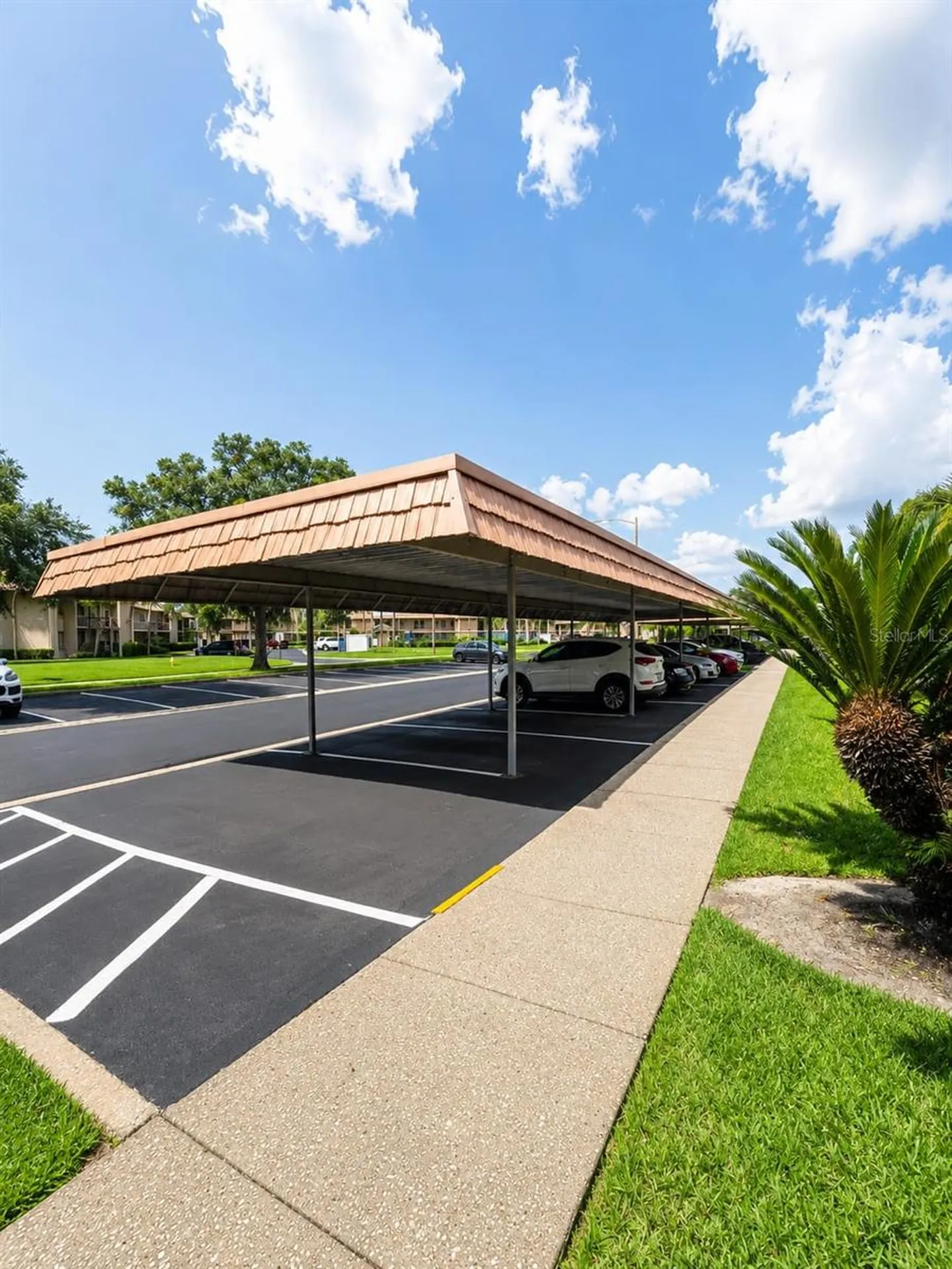115 Lakeview Place Oldsmar FL 34677