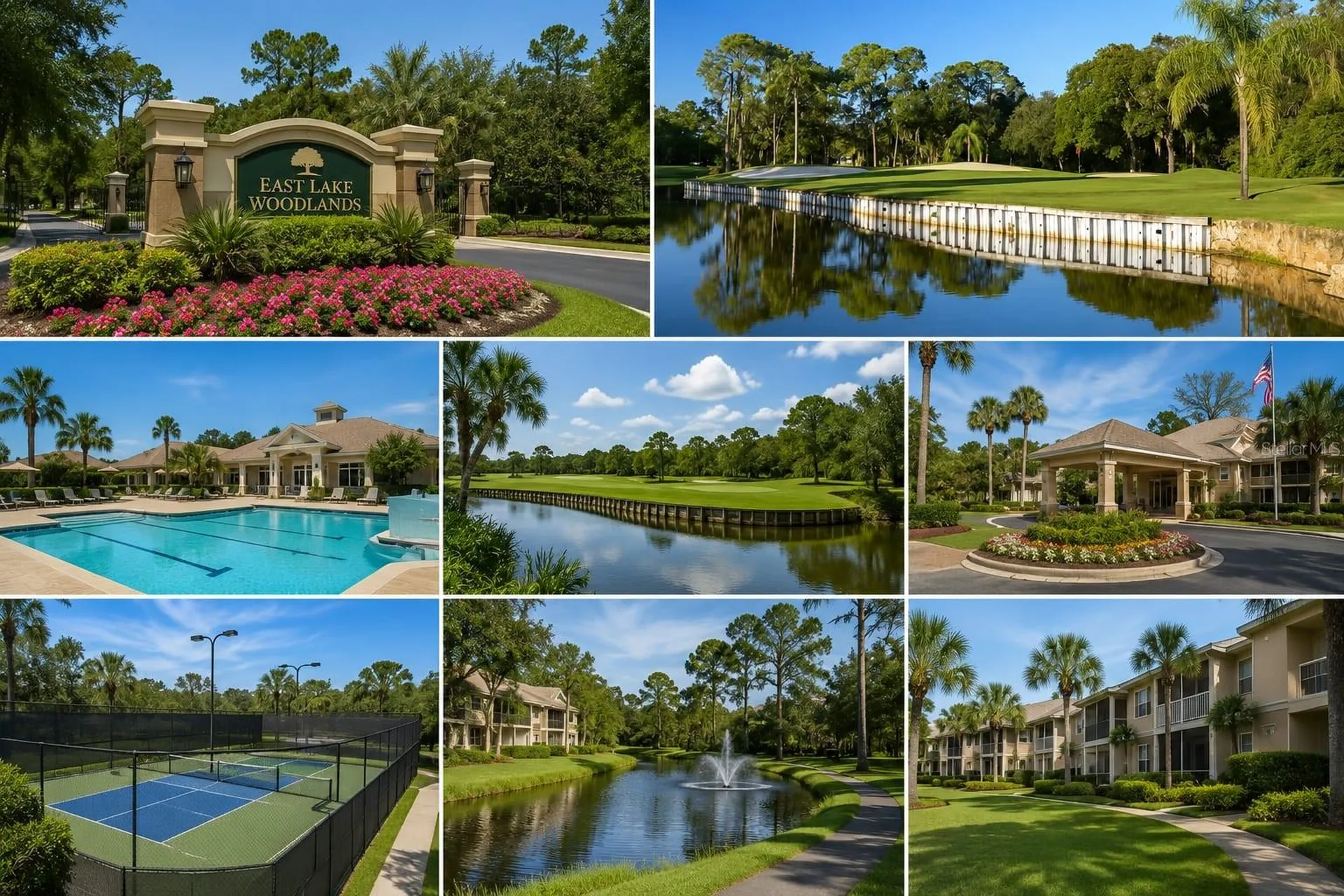 115 Lakeview Place Oldsmar FL 34677