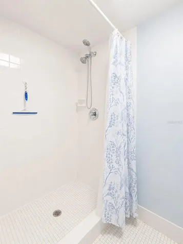 115 Lakeview Place Oldsmar FL 34677