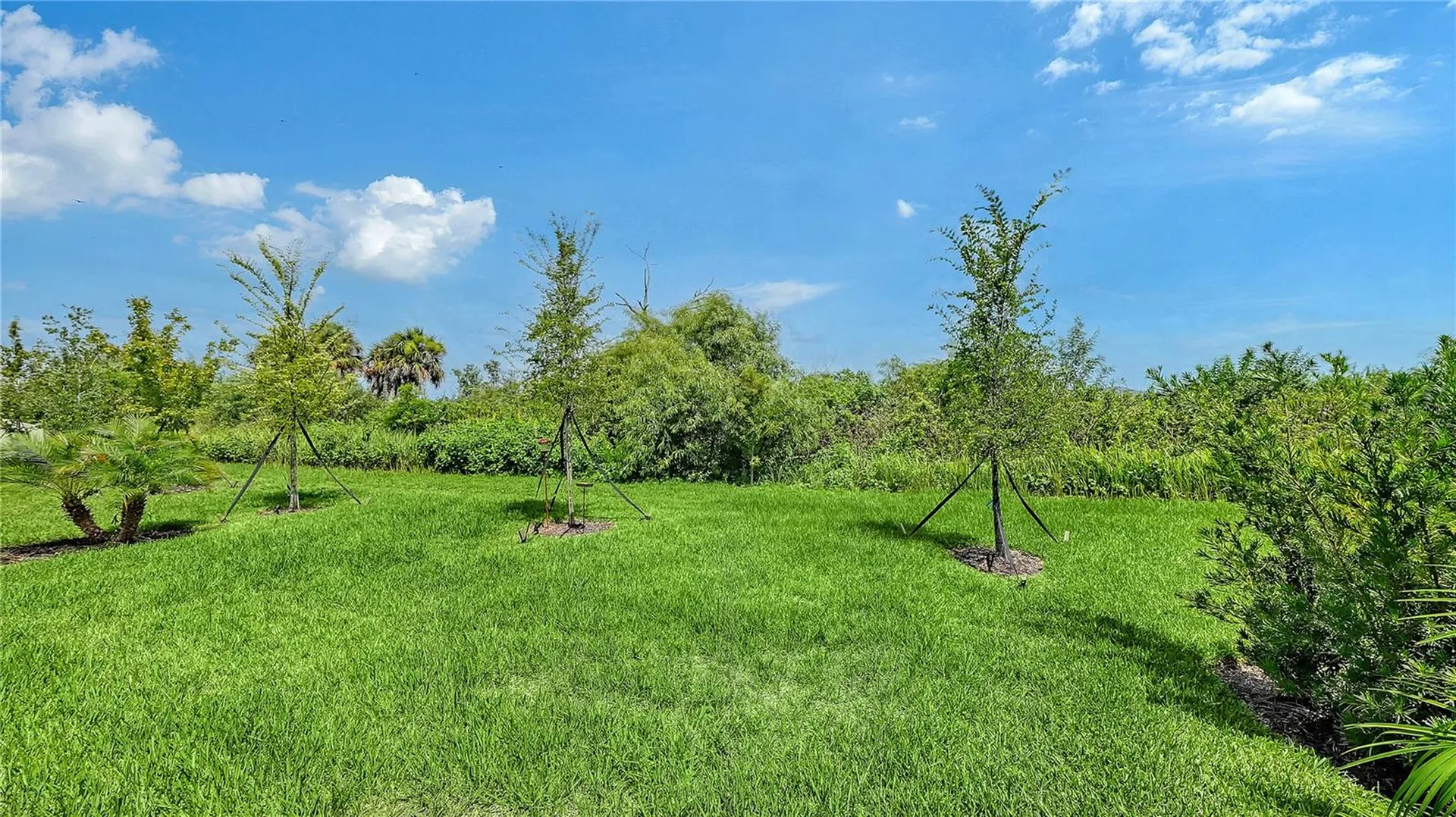 11829 Lilac Pearl Lane Parrish FL 34219