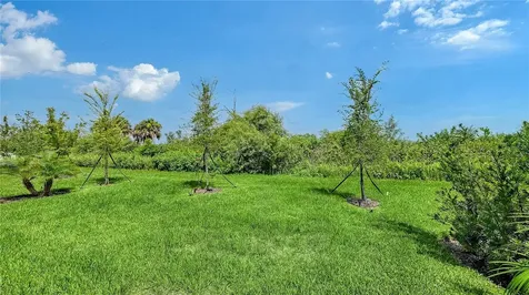 11829 Lilac Pearl Lane Parrish FL 34219