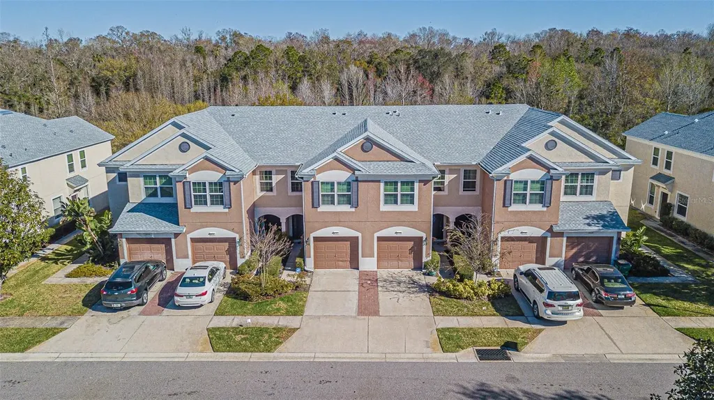 26544 Castleview Way Wesley Chapel FL 33544
